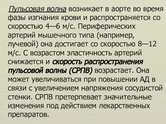 Пульсовая волна возникает в аорте во время фазы изгнания крови и