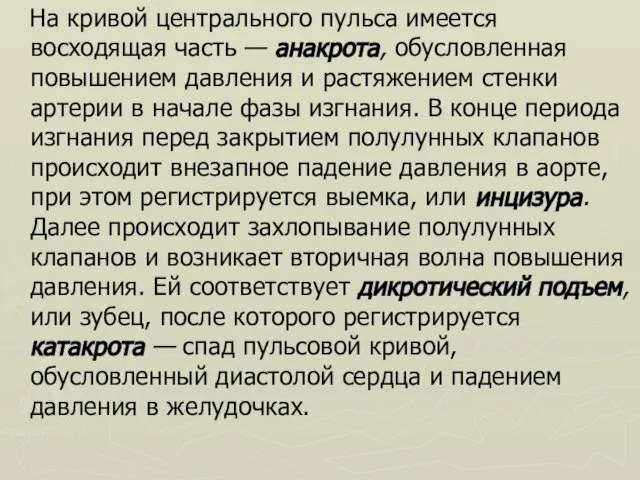 На кривой центрального пульса имеется восходящая часть — анакрота, обусловленная повышением