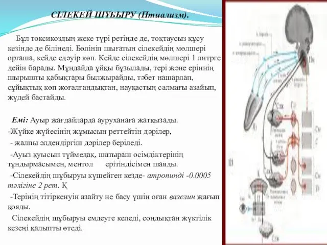 СІЛЕКЕЙ ШҰБЫРУ (Птиализм). Бұл токсикоздың жеке түрі ретінде де, тоқтаусыз құсу