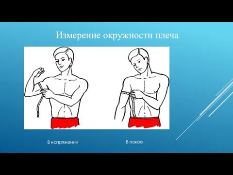 Измерение окружности плеча В напряжении В покое