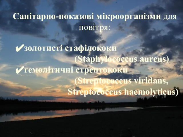 Санітарно-показові мікроорганізми для повітря: Санітарно-показові мікроорганізми для повітря: золотисті стафілококи (Staphylococcus