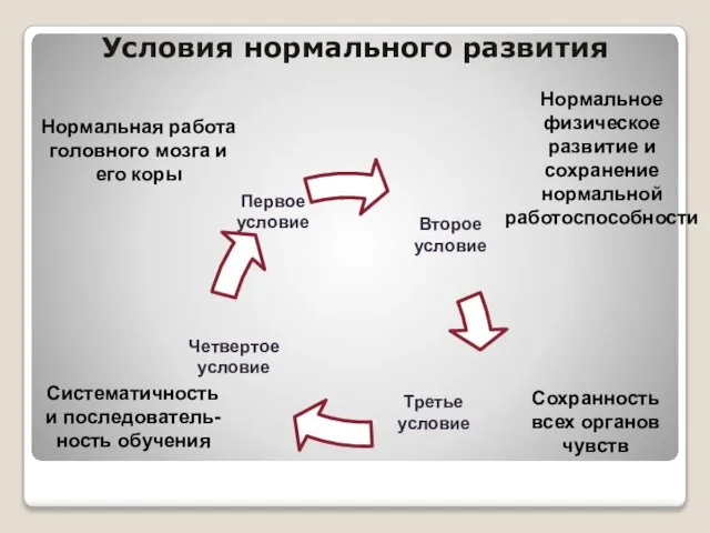 Условия нормального развития Нормальная работа головного мозга и его коры Нормальное