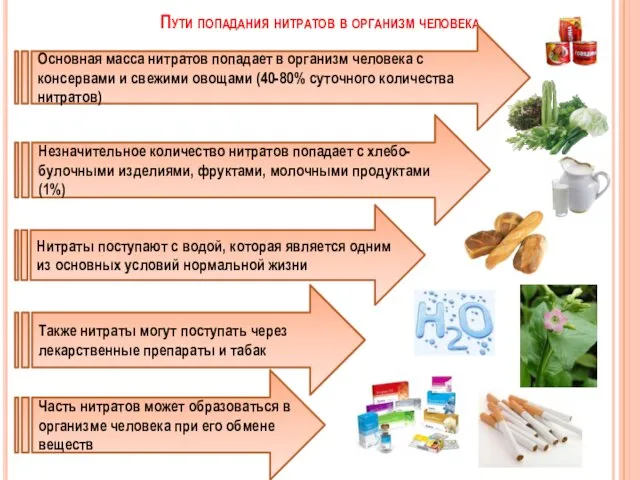 Пути попадания нитратов в организм человека Основная масса нитратов попадает в