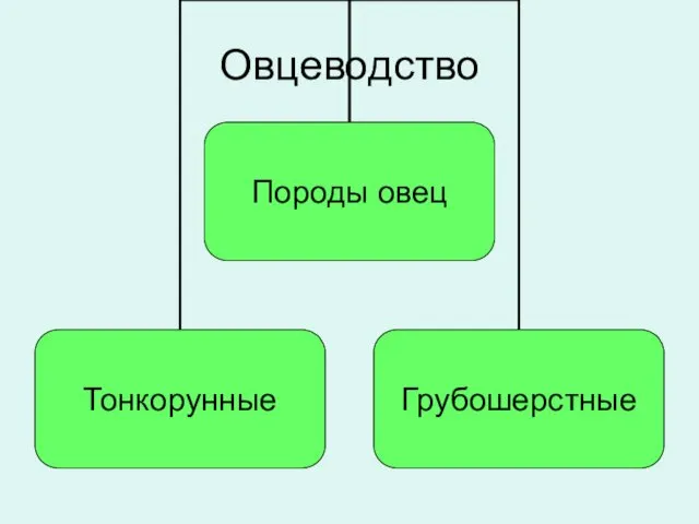 Овцеводство