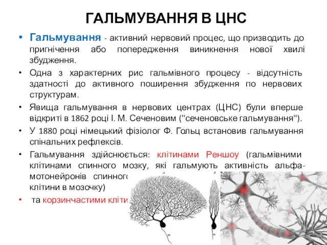 ГАЛЬМУВАННЯ В ЦНС Гальмування - активний нервовий процес, що призводить до