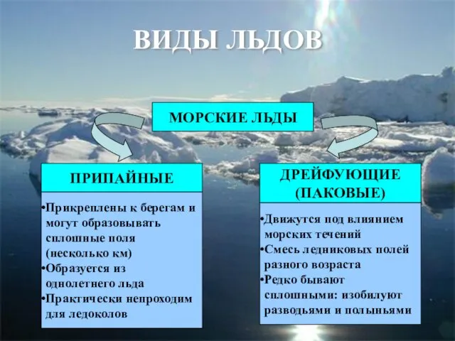 ВИДЫ ЛЬДОВ МОРСКИЕ ЛЬДЫ ПРИПАЙНЫЕ ДРЕЙФУЮЩИЕ (ПАКОВЫЕ) Прикреплены к берегам и