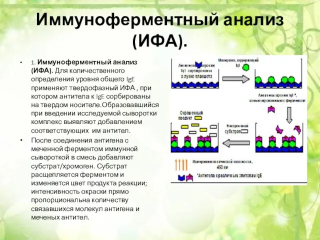 Иммуноферментный анализ (ИФА). 1. Иммуноферментный анализ (ИФА). Для количественного определения уровня