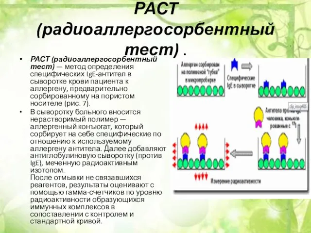 РАСТ (радиоаллергосорбентный тест) . РАСТ (радиоаллергосорбентный тест) — метод определения специфических