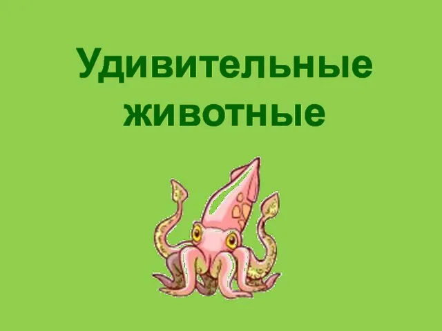 Удивительные животные