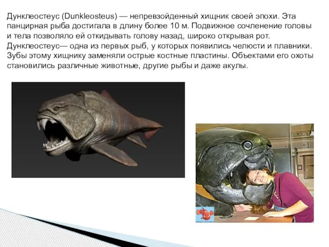 Дунклеостеус (Dunkleosteus) — непревзойденный хищник своей эпохи. Эта панцирная рыба достигала