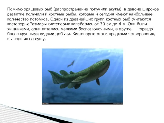 Помимо хрящевых рыб (распространение получили акулы) в девоне широкое развитие получили