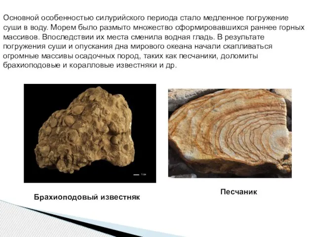 Основной особенностью силурийского периода стало медленное погружение суши в воду. Морем