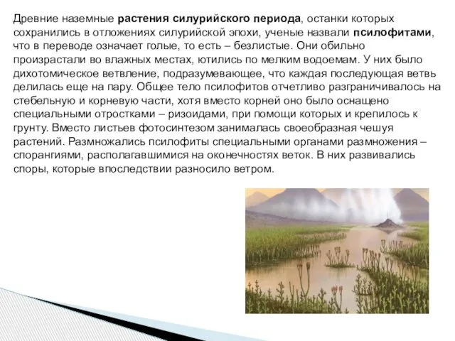 Древние наземные растения силурийского периода, останки которых сохранились в отложениях силурийской