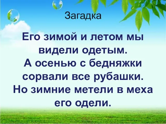 Загадка Его зимой и летом мы видели одетым. А осенью с