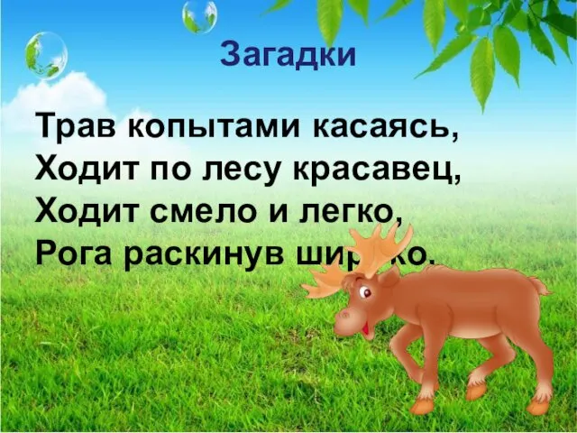 Загадки Трав копытами касаясь, Ходит по лесу красавец, Ходит смело и легко, Рога раскинув широко.