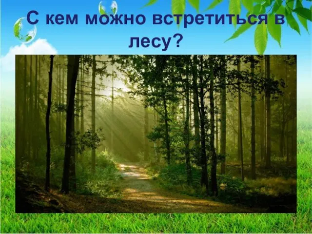 С кем можно встретиться в лесу?