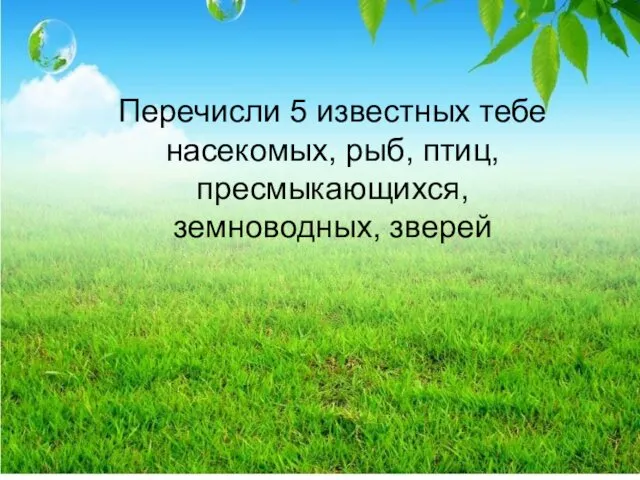 Перечисли 5 известных тебе насекомых, рыб, птиц, пресмыкающихся, земноводных, зверей