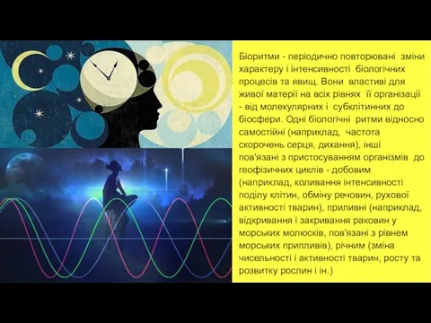 Біоритми - періодично повторювані зміни характеру і інтенсивності біологічних процесів та