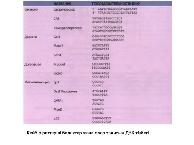 Кейбір реттеуші белоктар және олар танитын ДНҚ тізбегі