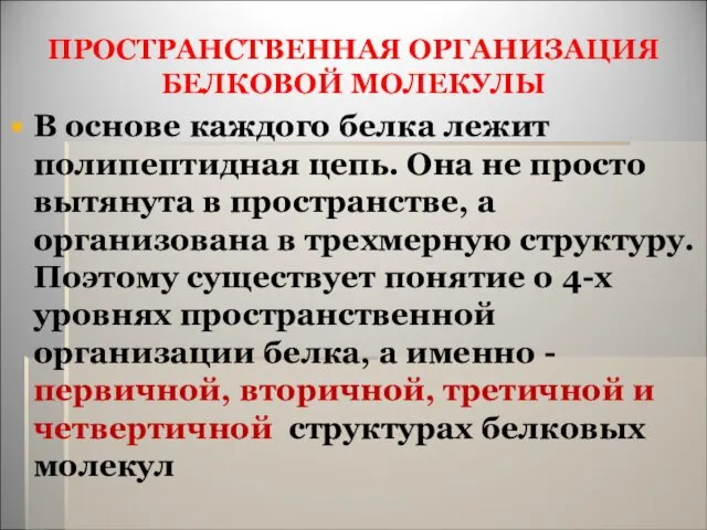 ПРОСТРАНСТВЕННАЯ ОРГАНИЗАЦИЯ БЕЛКОВОЙ МОЛЕКУЛЫ В основе каждого белка лежит полипептидная цепь.