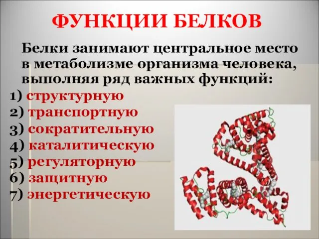 ФУНКЦИИ БЕЛКОВ Белки занимают центральное место в метаболизме организма человека, выполняя