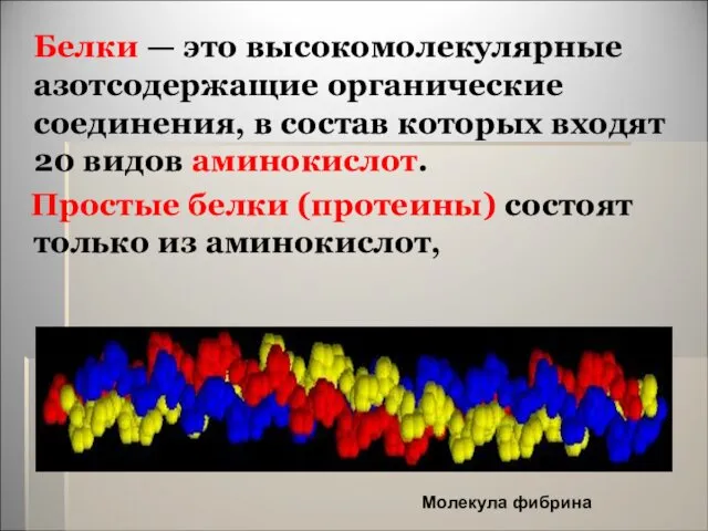 Белки — это высокомолекулярные азотсодержащие органические соединения, в состав которых входят