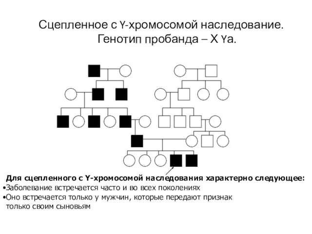 Сцепленное с Y-хромосомой наследование. Генотип пробанда – Х Yа. Для сцепленного