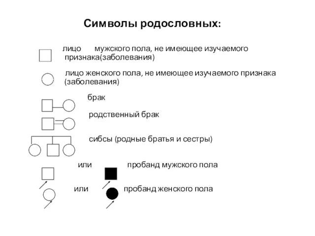 Символы родословных: лицо мужского пола, не имеющее изучаемого признака(заболевания) лицо женского