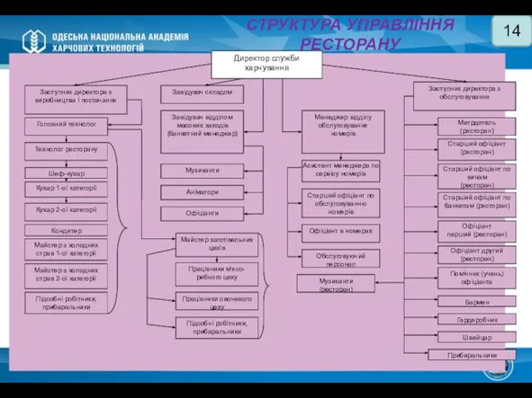 СТРУКТУРА УПРАВЛІННЯ РЕСТОРАНУ 14 Директор служби харчування