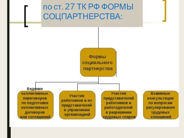 по ст. 27 ТК РФ ФОРМЫ СОЦПАРТНЕРСТВА: