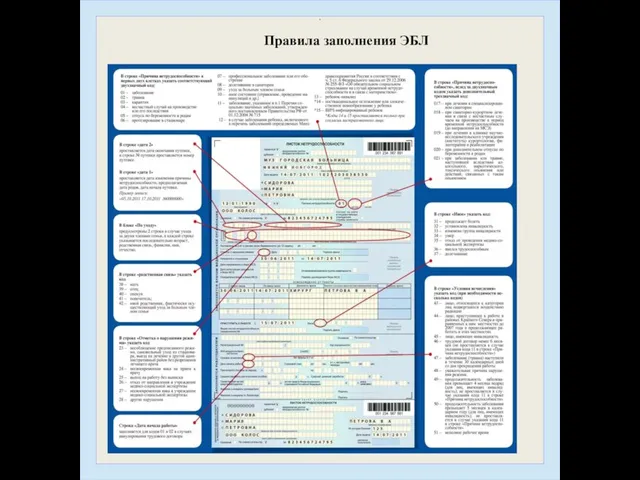 . Правила заполнения ЭБЛ