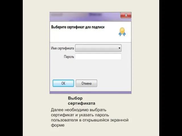 Выбор сертификата Далее необходимо выбрать сертификат и указать пароль пользователя в открывшейся экранной форме