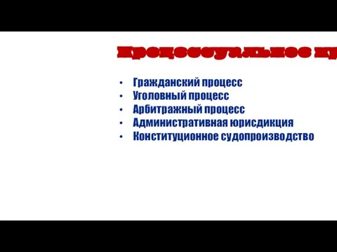 Процессуальное право Гражданский процесс Уголовный процесс Арбитражный процесс Административная юрисдикция Конституционное судопроизводство