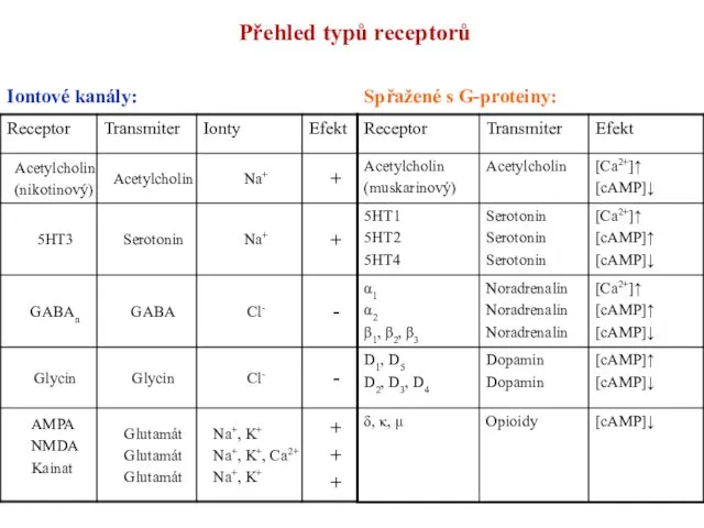 Přehled typů receptorů Iontové kanály: Spřažené s G-proteiny: