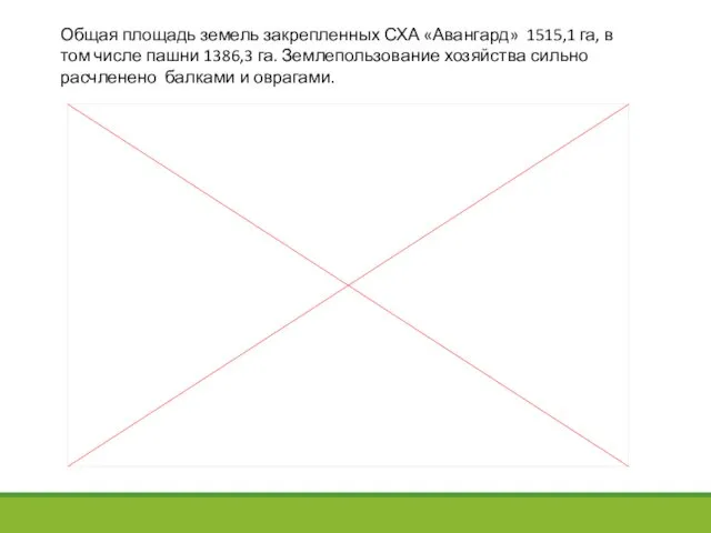 Общая площадь земель закрепленных СХА «Авангард» 1515,1 га, в том числе