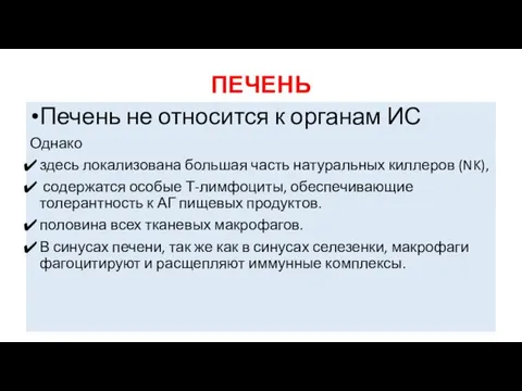 ПЕЧЕНЬ Печень не относится к органам ИС Однако здесь локализована большая