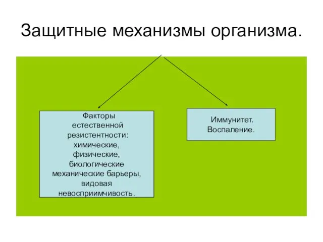 Защитные механизмы организма. Факторы естественной резистентности: химические, физические, биологические механические барьеры, видовая невосприимчивость. Иммунитет. Воспаление.