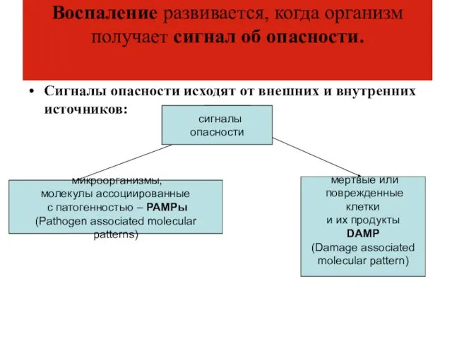 Воспаление развивается, когда организм получает сигнал об опасности. Сигналы опасности исходят