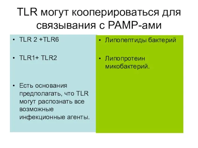 TLR могут кооперироваться для связывания с РАМР-ами TLR 2 +TLR6 TLR1+