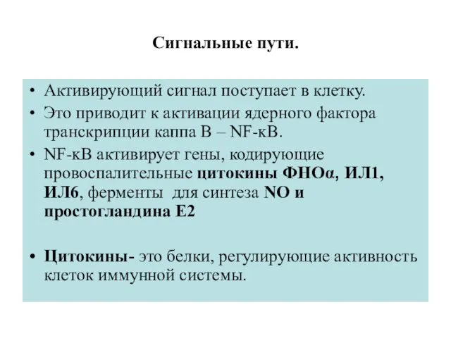 Сигнальные пути. Активирующий сигнал поступает в клетку. Это приводит к активации