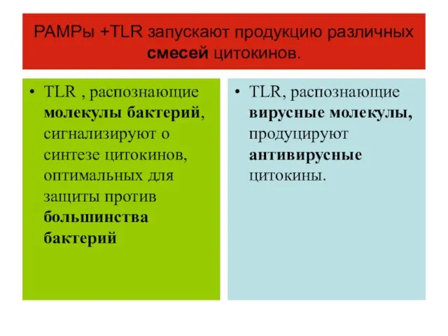 РАМРы +TLR запускают продукцию различных смесей цитокинов. TLR , распознающие молекулы