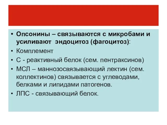 Опсонины – связываются с микробами и усиливают эндоцитоз (фагоцитоз): Комплемент С