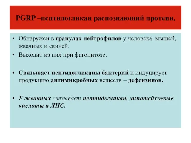 PGRP –пептидогликан распознающий протеин. Обнаружен в гранулах нейтрофилов у человека, мышей,