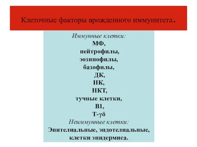 Клеточные факторы врожденного иммунитета. Иммунные клетки: МФ, нейтрофилы, эозинофилы, базофилы, ДК,