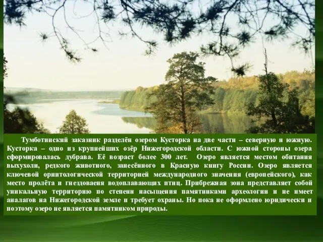 Тумботинский заказник разделён озером Кусторка на две части – северную и