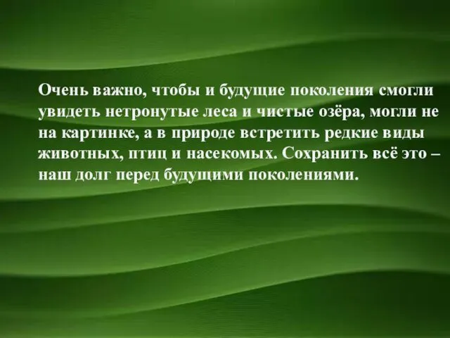 Очень важно, чтобы и будущие поколения смогли увидеть нетронутые леса и