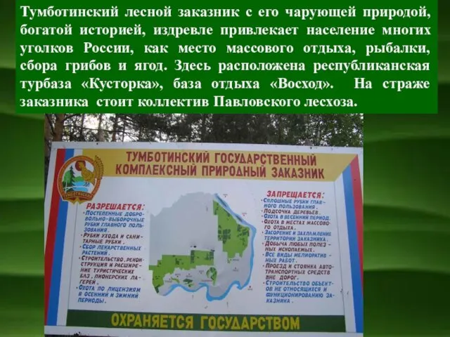 Тумботинский лесной заказник с его чарующей природой, богатой историей, издревле привлекает