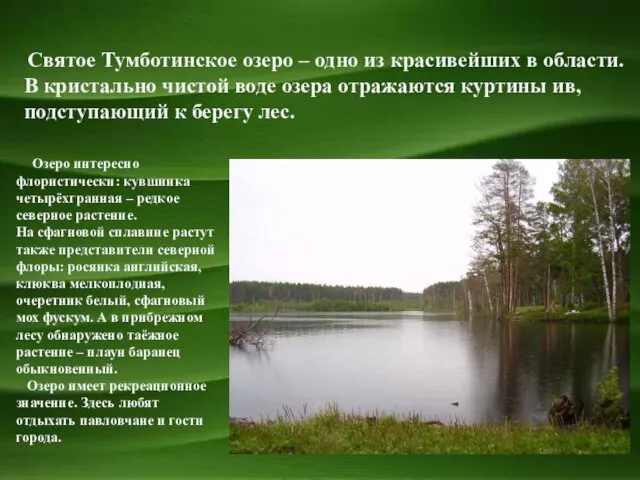 Святое Тумботинское озеро – одно из красивейших в области. В кристально