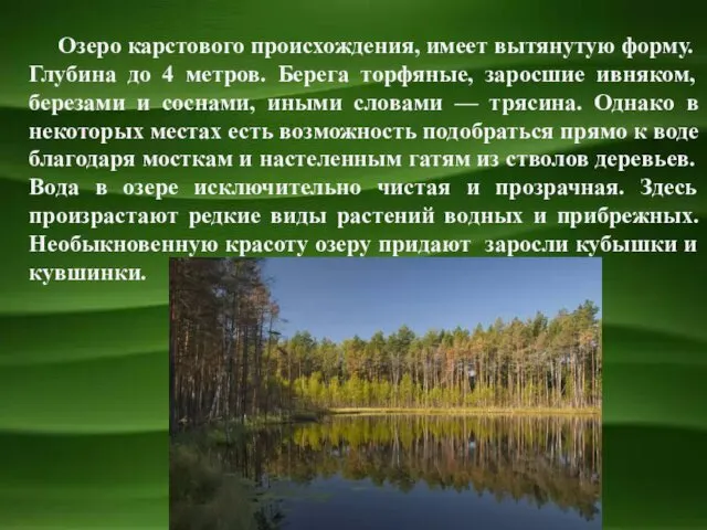 Озеро карстового происхождения, имеет вытянутую форму. Глубина до 4 метров. Берега