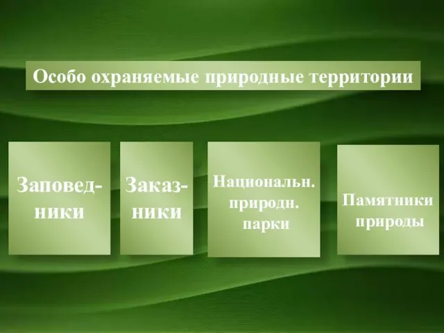 Особо охраняемые природные территории Заповед-ники Заказ- ники Национальн. природн. парки Памятники природы